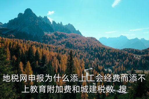 地稅網申報為什么添上工會經費而添不上教育附加費和城建稅數  搜