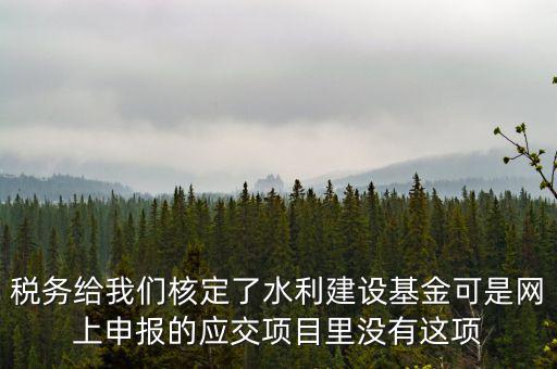 稅務(wù)給我們核定了水利建設(shè)基金可是網(wǎng)上申報(bào)的應(yīng)交項(xiàng)目里沒有這項(xiàng)