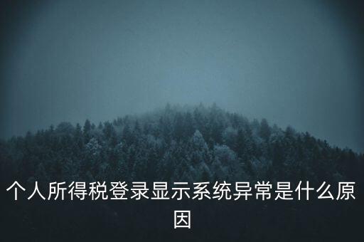 個人所得稅登錄顯示系統(tǒng)異常是什么原因