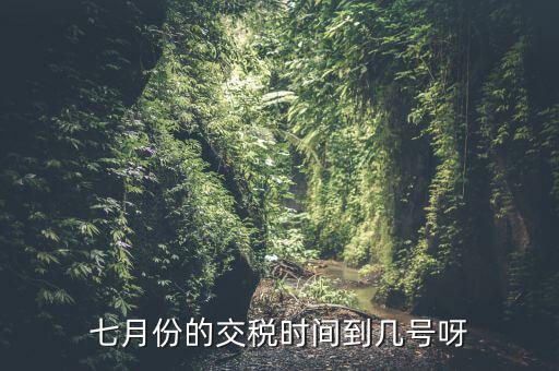 福建地稅7月報稅到什么時候，請問7月份國稅地稅的征期截止到哪天