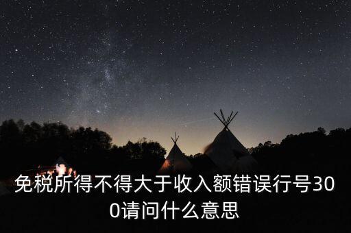 免稅所得不得大于收入額錯(cuò)誤行號300請問什么意思