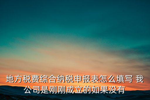 地稅不開票需填什么表，地方稅費(fèi)綜合納稅申報(bào)表怎么填寫 我公司是剛剛成立的如果沒有