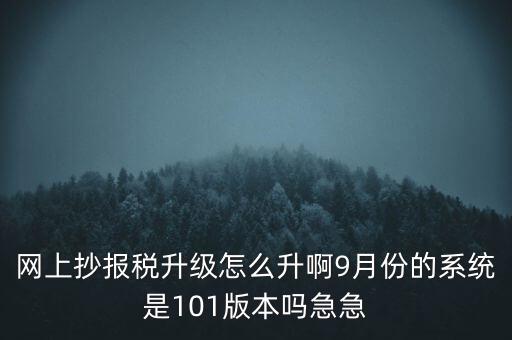 網(wǎng)上抄報(bào)稅升級怎么升啊9月份的系統(tǒng)是101版本嗎急急