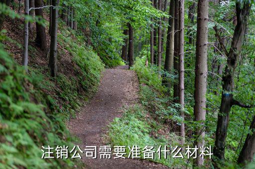 公司注銷帶什么資料嗎，公司銷戶要帶什么資料