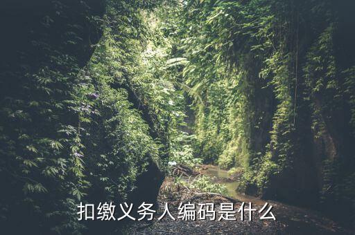 扣繳義務人編碼是什么