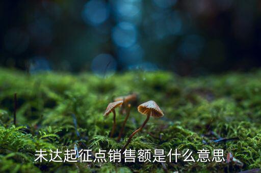 未達(dá)起征點(diǎn)銷售額是什么意思，未達(dá)起征點(diǎn)銷售額是什么意思