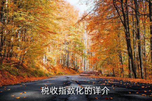 稅收指數(shù)化的詳介