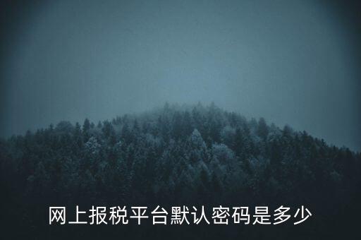 網(wǎng)上報稅平臺默認(rèn)密碼是多少