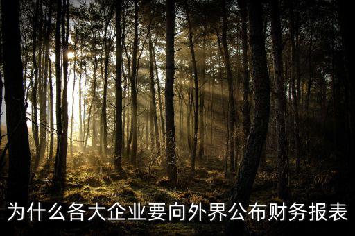 為什么要報送財務(wù)報表，為什么要編財務(wù)報表