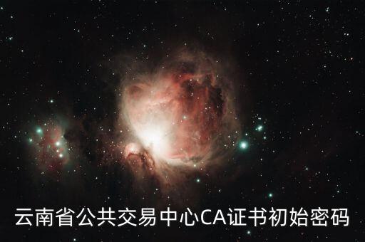 云南省公共交易中心CA證書初始密碼