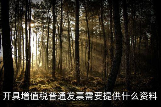 開增值稅提供什么資料，開具增值稅普通發(fā)票需要提供什么資料