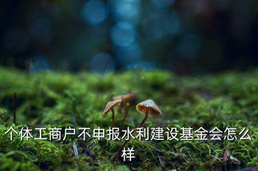 水利基金不報有什么后果，水利建設(shè)基金計稅當(dāng)月沒報有影響嗎