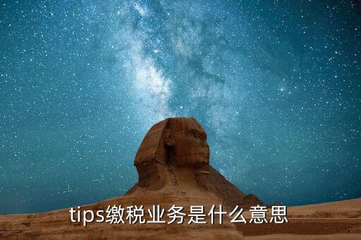 地稅tips繳款是什么意思，tips扣稅是什么意思