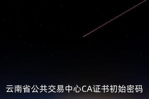 ca原始密碼登錄是什么，蘇州投標ca初始密碼