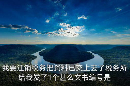 我要注銷稅務(wù)把資料已交上去了稅務(wù)所給我發(fā)了1個(gè)甚么文書編號(hào)是