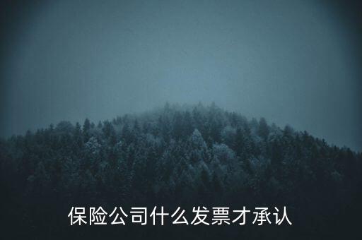 保險公司要什么發(fā)票，保險公司什么發(fā)票才承認(rèn)