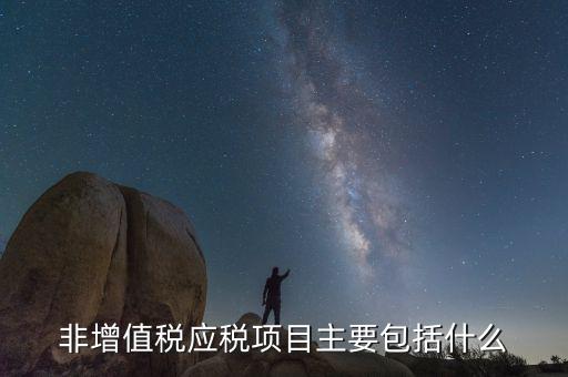 非增值稅應(yīng)稅項目主要包括什么