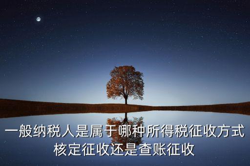 一般納稅人屬于什么，什么是一般納稅人