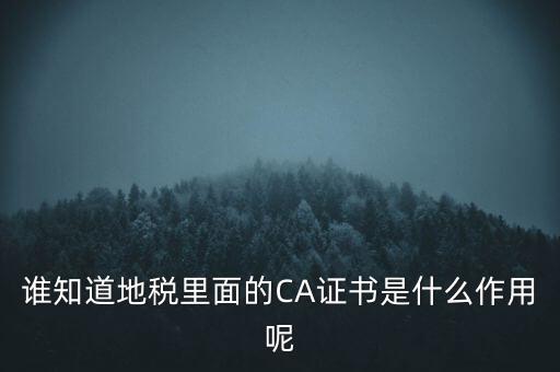 地稅的ca證書是什么，什么是聯(lián)通ca證書地稅ca證書