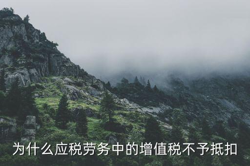 為什么應(yīng)稅勞務(wù)中的增值稅不予抵扣