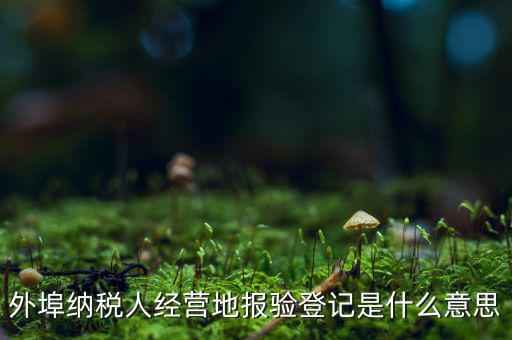 外埠納稅人經(jīng)營地報驗(yàn)登記是什么意思