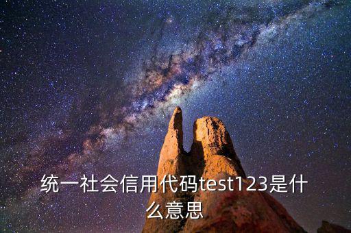 統(tǒng)一社會信用代碼test123是什么意思