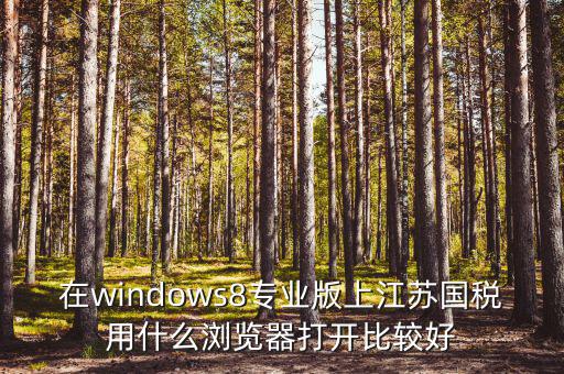 在windows8專(zhuān)業(yè)版上江蘇國(guó)稅用什么瀏覽器打開(kāi)比較好