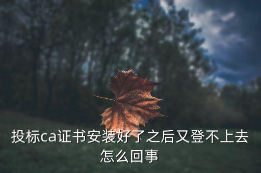 投標ca證書安裝好了之后又登不上去怎么回事