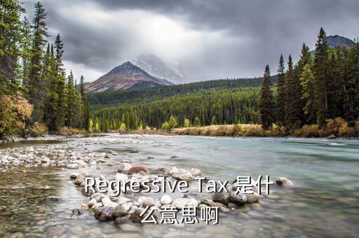 什么是稅收穿透，passthrough taxation是什么意思是直接繳稅嘛