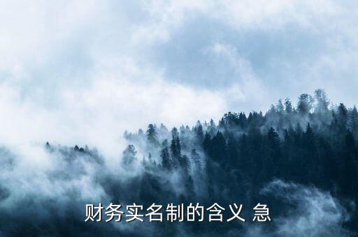 稅務(wù)實名制是什么意思，財務(wù)實名制的含義 急