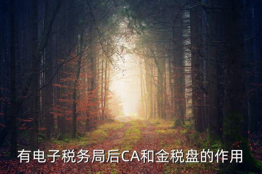 電子稅務局有什么用，有電子稅務局后CA和金稅盤的作用