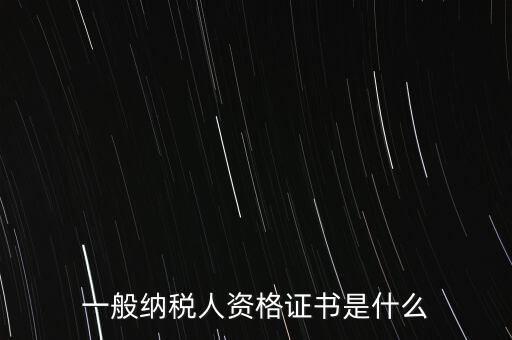 納稅資格證書是什么，一般納稅人資格證什么