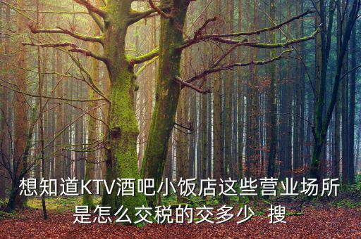 ktv交納什么稅，想知道KTV酒吧小飯店這些營業(yè)場所是怎么交稅的交多少  搜