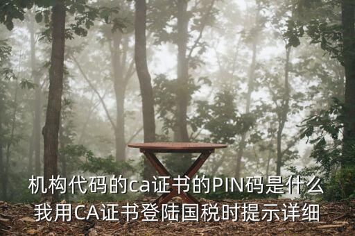 機構(gòu)代碼的ca證書的PIN碼是什么我用CA證書登陸國稅時提示詳細(xì)