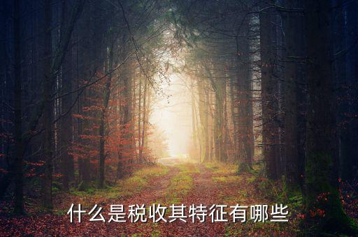 稅收的特點(diǎn)是什么意思，稅收的實(shí)質(zhì)和特征