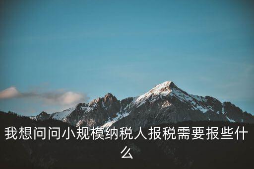 我想問(wèn)問(wèn)小規(guī)模納稅人報(bào)稅需要報(bào)些什么