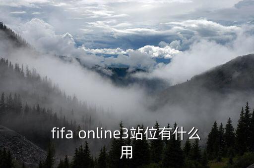 fifa online3站位有什么用