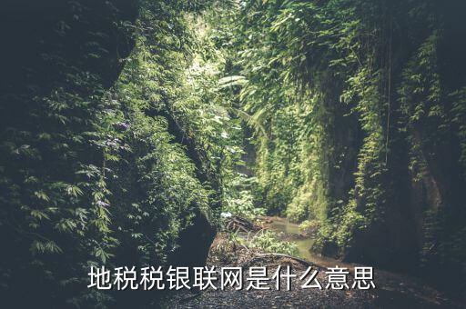 地稅稅銀聯(lián)網(wǎng)是什么意思