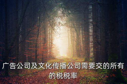 廣告公司交什么稅，廣告公司及文化傳播公司需要交的所有的稅稅率