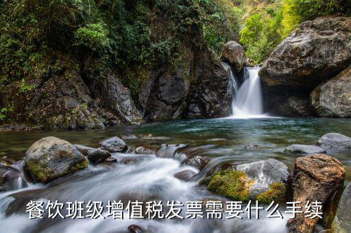 餐飲班級增值稅發(fā)票需要什么手續(xù)