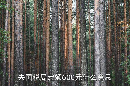 去國稅局定額600元什么意思