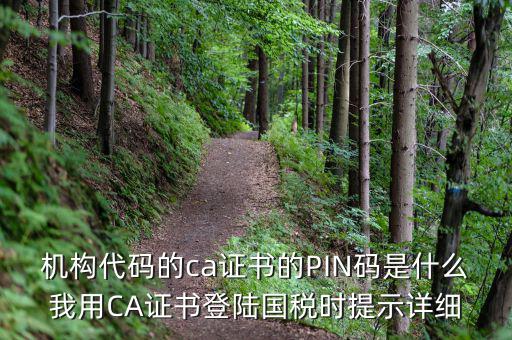 機構代碼的ca證書的PIN碼是什么我用CA證書登陸國稅時提示詳細