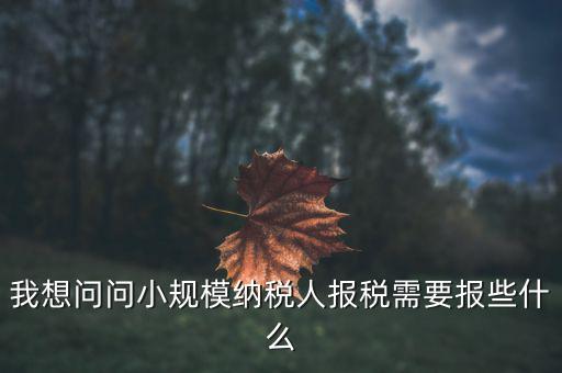 小規(guī)模國稅申報些什么，小規(guī)模納稅人國稅需要報什么資料