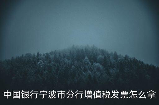 寧波國稅過發(fā)票要帶什么，浙江地區(qū)公司首次拿發(fā)票去國稅局需要帶什么證件