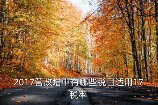 2017營(yíng)改增中有哪些稅目適用17稅率