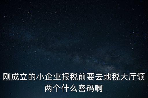 繳稅服務廳口令輸什么，剛成立的小企業(yè)報稅前要去地稅大廳領兩個什么密碼啊