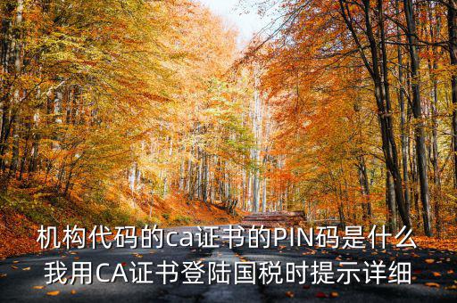 國稅ca證書登錄 密碼是什么，國稅第一次網(wǎng)上申報的登陸密碼是什么