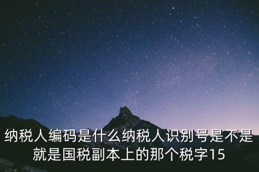 納稅人編碼是什么納稅人識別號是不是就是國稅副本上的那個(gè)稅字15