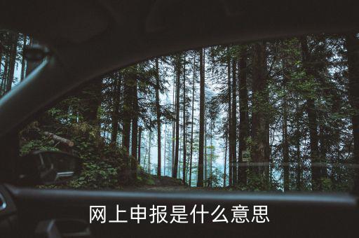 網(wǎng)上申報是什么意思