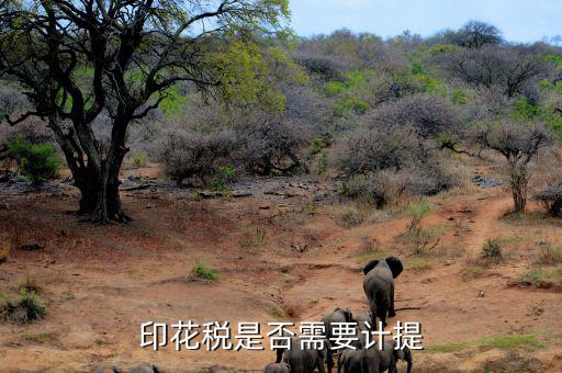 印花稅為什么不計(jì)提，印花稅要計(jì)提嗎